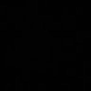 Meet your Posher, Koko